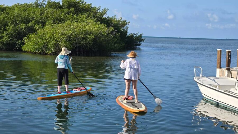 Key West: Kayak or Paddleboard Rental - Who will enjoy this rental most