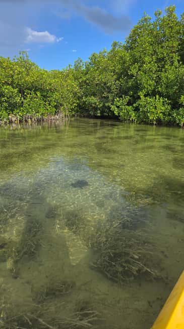 Key West: Kayak or Paddleboard Rental - Practical ways to make the outing better