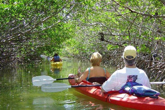 Key West Mangrove Kayak Eco Tour - Key points at a glance