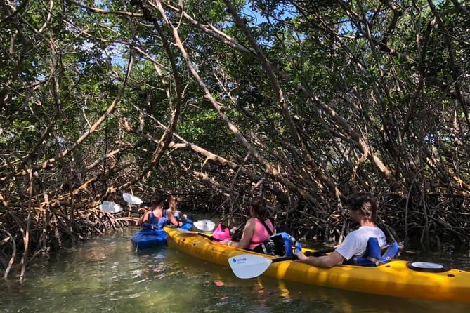 Key West Mangrove Kayak Eco Tour - Getting to Hurricane Hole Marina