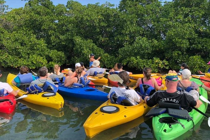Key West Mangrove Kayak Eco Tour - Morning or afternoon: choosing your departure