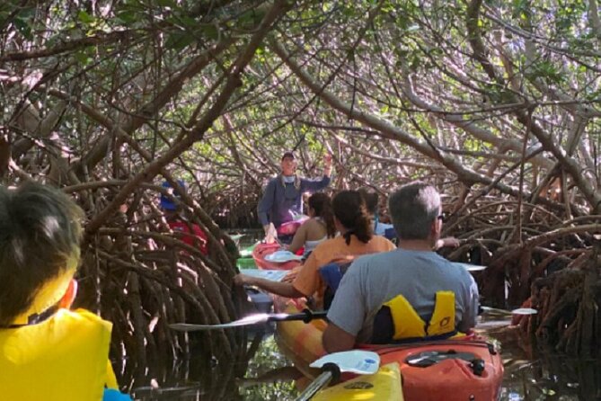 Key West Mangrove Kayak Eco Tour - Is $80 a fair price?