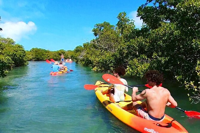 Key West Sandbar Charter With Kayak Tour: Includes Lunch & Drinks - Searching for Florida Keys wildlife