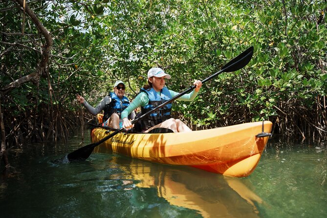 Key West Sandbar Charter With Kayak Tour: Includes Lunch & Drinks - Arriving at the Jewfish Basin sandbar