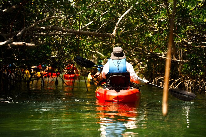Key West Sandbar Charter With Kayak Tour: Includes Lunch & Drinks - Lunch, unlimited drinks, and the value of $149.95