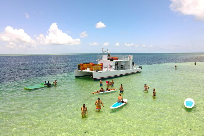 Key West Sandbar Charter With Kayak Tour: Includes Lunch & Drinks - Kayaking through the Mud Keys mangroves