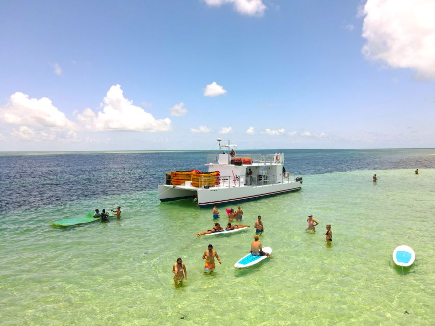 Key West: Sandbar Excursion & Kayak Tour with Lunch & Drinks - Key points at a glance