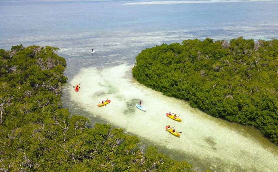 Key West: Sandbar Excursion & Kayak Tour with Lunch & Drinks - Who will enjoy this outing most?