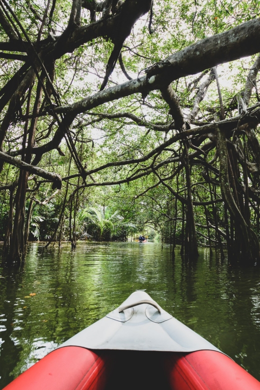 Khao Lak: Little Amazon Canoe Ride & Tam Nang Waterfall Tour - What the $61 price includes