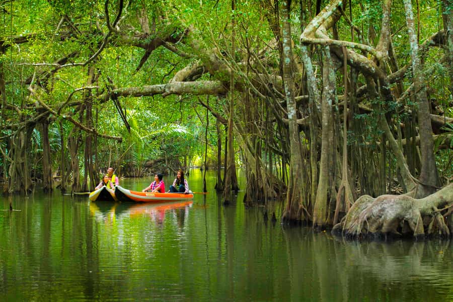 Khao Lak's Little Amazon: Canoe, Trek & Waterfall Day Trip - A quiet canoe ride through the Takuapa Little Amazon