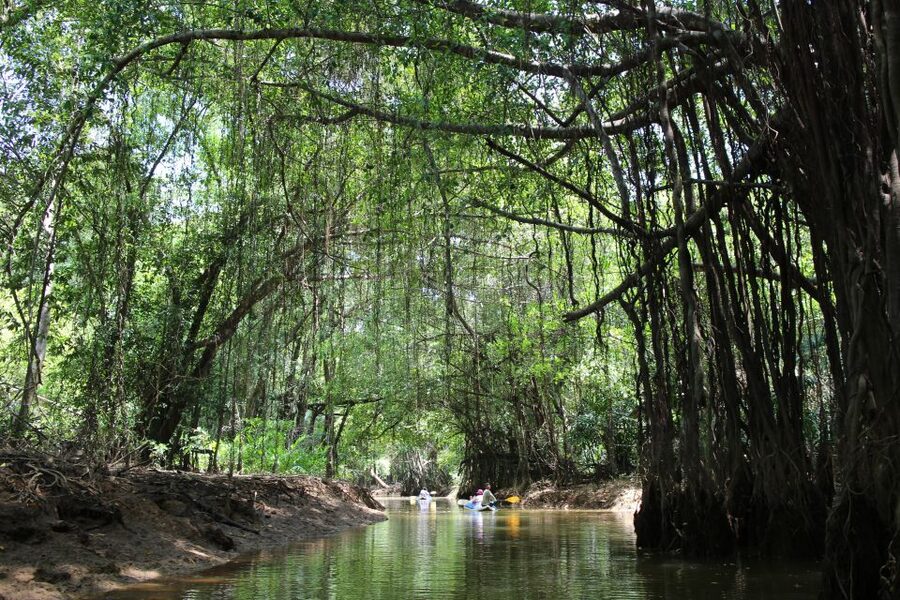 Khao Lak: Sri Phang Nga Canoe and Tam Nang Waterfall Tour - Takuapa Market: a useful stop before the forest