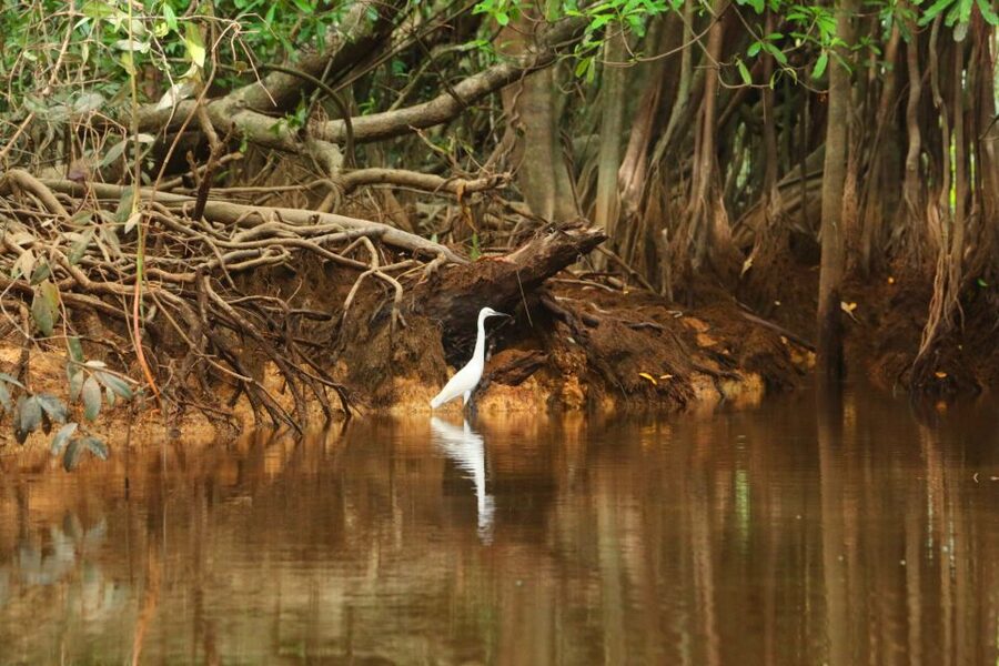 Khao Lak: Sri Phang Nga Canoe and Tam Nang Waterfall Tour - Lunch, fruit, and the hot springs