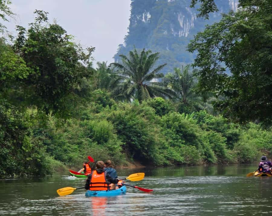 Khao Sok Park: Jungle Kayak Adventure & Wildlife Tour - Paddling through the jungle canal
