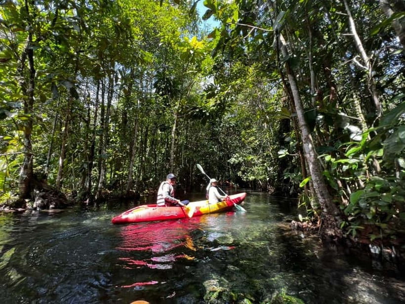 Klong Rud Kayaking with Hotel Transfer - Key points at a glance