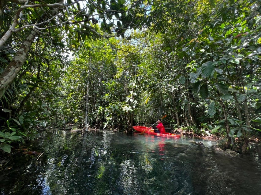 Klong Rud Kayaking with Hotel Transfer - Should you book Klong Rud Kayaking?