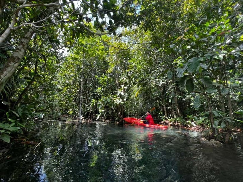 Klong Rud Kayaking with Hotel Transfer - From Ao Nang to Klongroot Viewpoint Pier