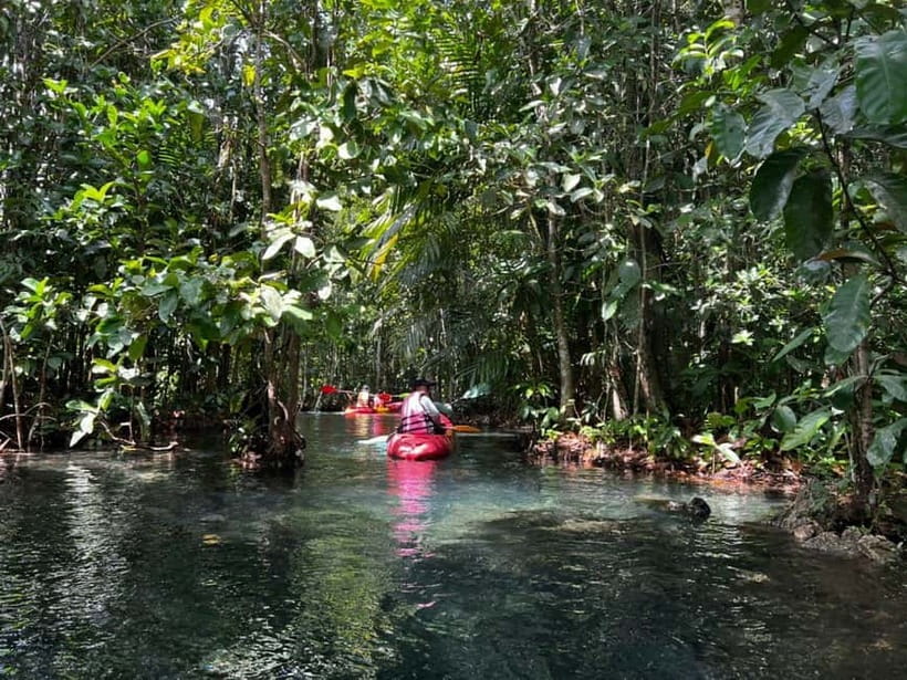 Klong Rud Kayaking with Hotel Transfer - Paddling through Klong Nam Sai