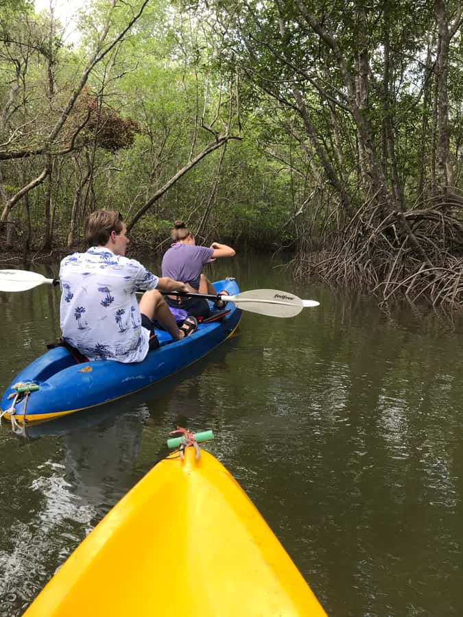Ko Lanta: HALF DAY EXPLORE MANGROVE KAYAKING TOUR AND LUNCH - Why this mangrove trip is worth your morning