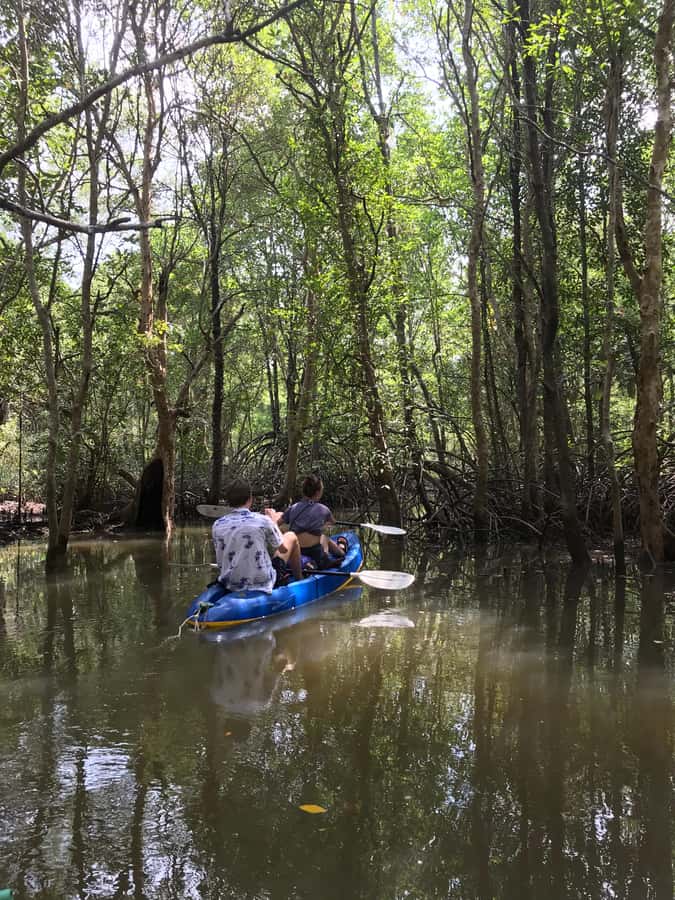 Ko Lanta: HALF DAY EXPLORE MANGROVE KAYAKING TOUR AND LUNCH - The fish farm and lunch at the mangrove restaurant