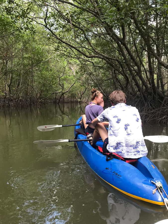 Ko Lanta: HALF DAY EXPLORE MANGROVE KAYAKING TOUR AND LUNCH - Who should book this Ko Lanta excursion?