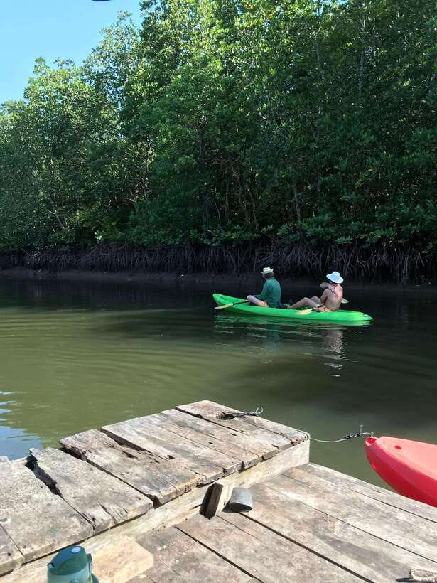 Ko Lanta: Half-Day Mangrove Kayaking Tour with Lunch - Key points to know before booking