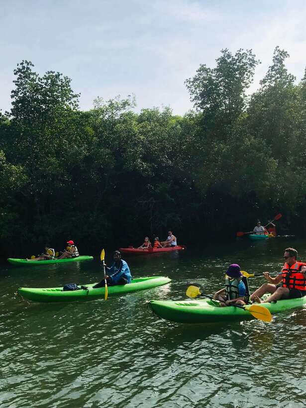Ko Lanta: Half-Day Mangrove Kayaking Tour with Lunch - Practical tips for a smoother outing