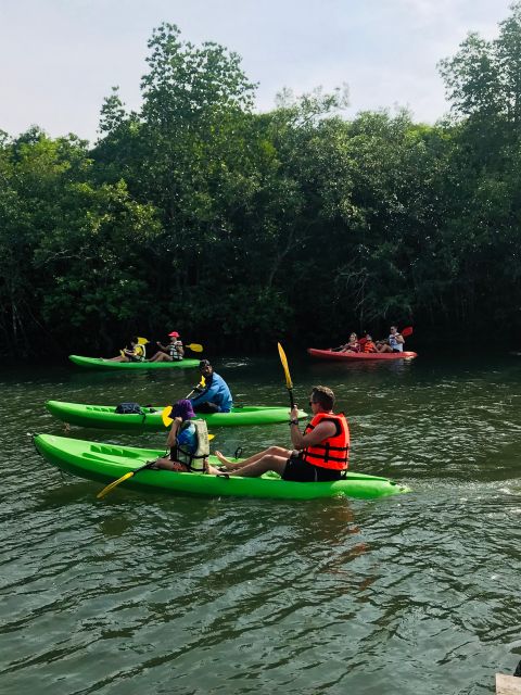 Ko Lanta: Half-Day Mangrove Kayaking Tour with Lunch - Monkey stops, with an important warning