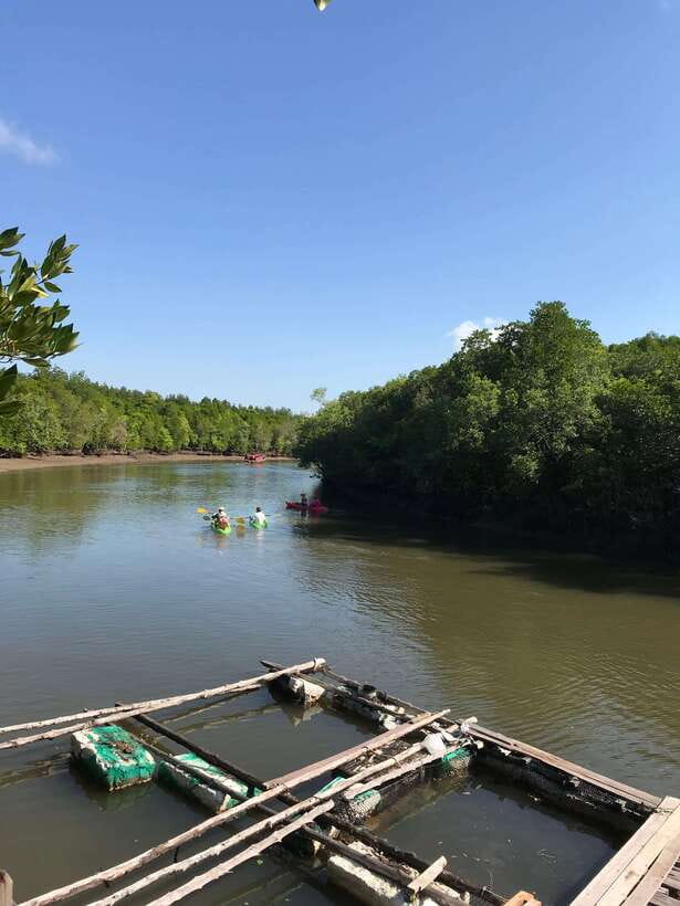 Ko Lanta: Half-Day Mangrove Kayaking Tour with Lunch - Is $26 good value?