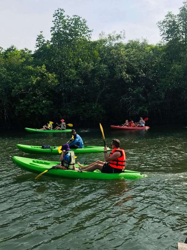 Ko Lanta: Half-Day Mangrove Kayaking Tour with Lunch - Who should book this kayak trip?