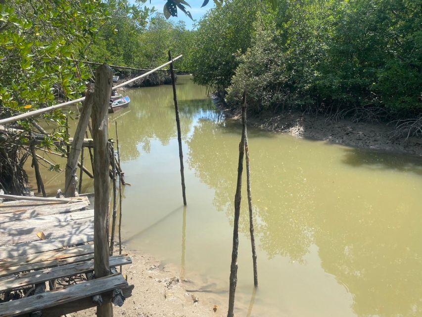 Ko Lanta: Mangrove Kayaking, Ko Talabeng, & Skull Island - Who should book this trip?
