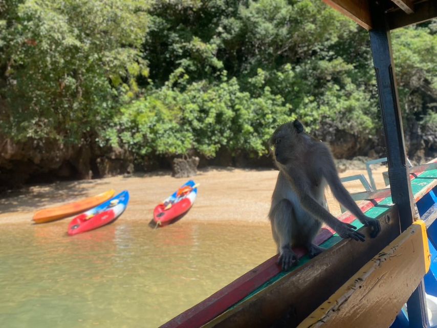 Ko Lanta: Mangrove Kayaking, Ko Talabeng, & Skull Island - Why this seven-hour trip feels different