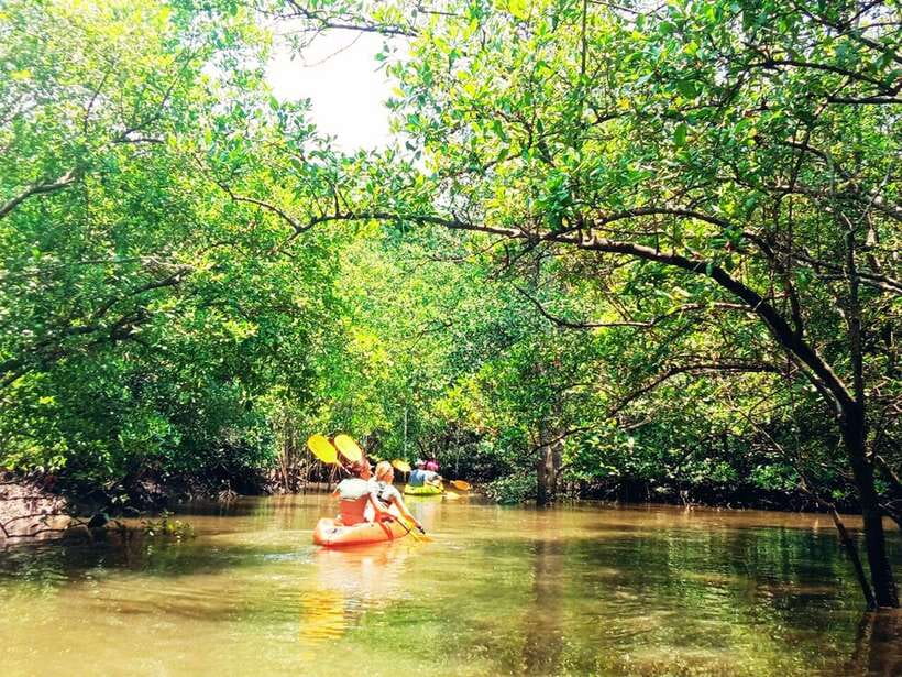 Ko Lanta: Mangrove Kayaking with Lunch and Hotel Transfer - Arriving at Tung Yee Peng Port