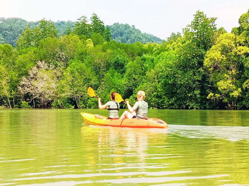 Ko Lanta: Mangrove Kayaking with Lunch and Hotel Transfer - Hotel pickup times across Ko Lanta