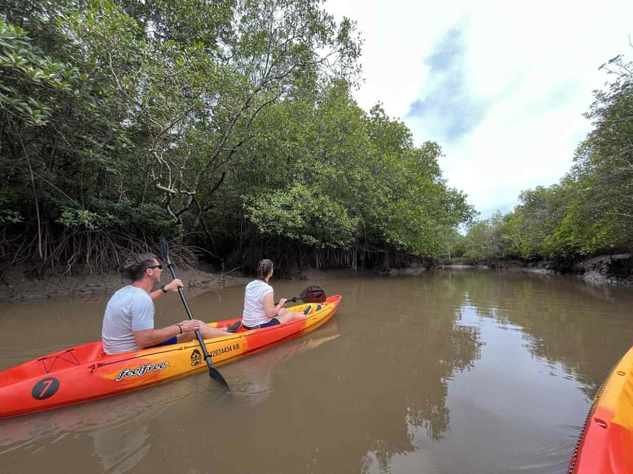 Koh Lanta: Amazon Mangrove Kayaking Tour With Lunch - Key points to know before booking