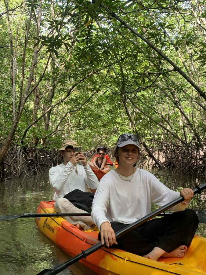Koh Lanta: Amazon Mangrove Kayaking Tour With Lunch - Why Koh Lanta’s mangroves make a good half-day outing