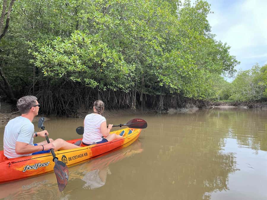 Koh Lanta: Amazon Mangrove Kayaking Tour With Lunch - Seeing fish farms and the working side of village life
