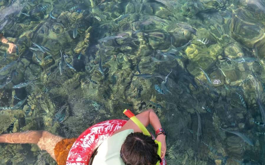 Koh Samui: Snorkeling and Kayaking by Speedboat - Kayaking along the coast