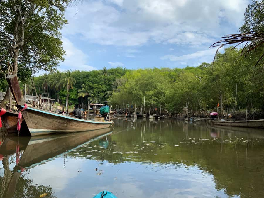 Koh Yao Yai: Klong Hia Mangrove Kayaking - Who will enjoy this half-day outing?