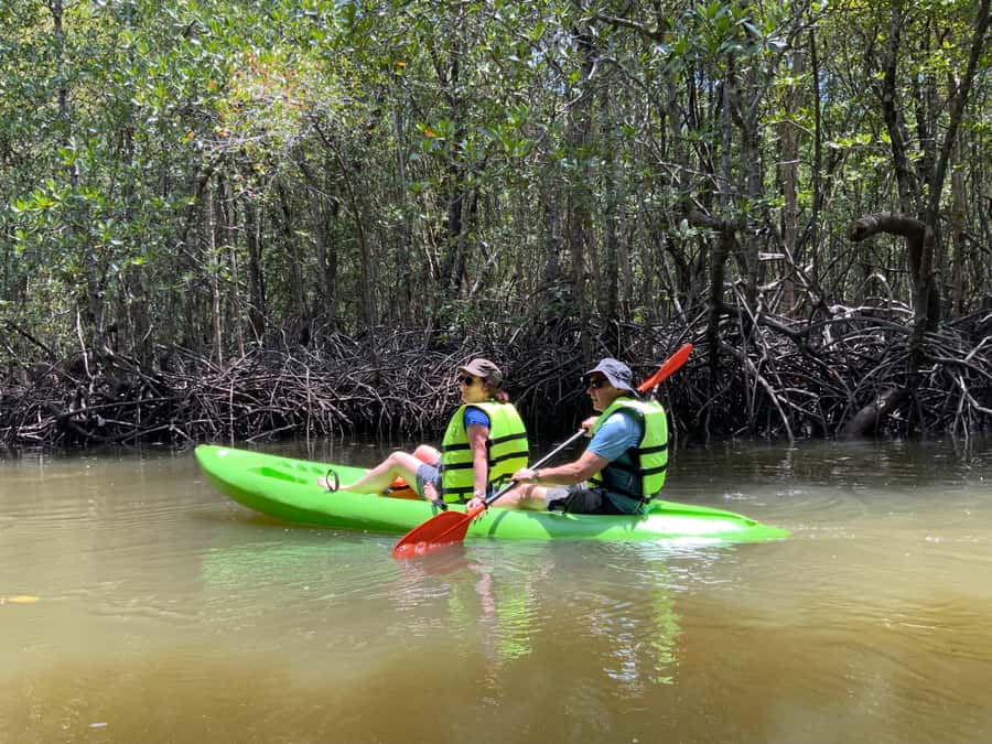 Koh Yao Yai: Klong Hia Mangrove Kayaking - Why the mangroves are worth your time