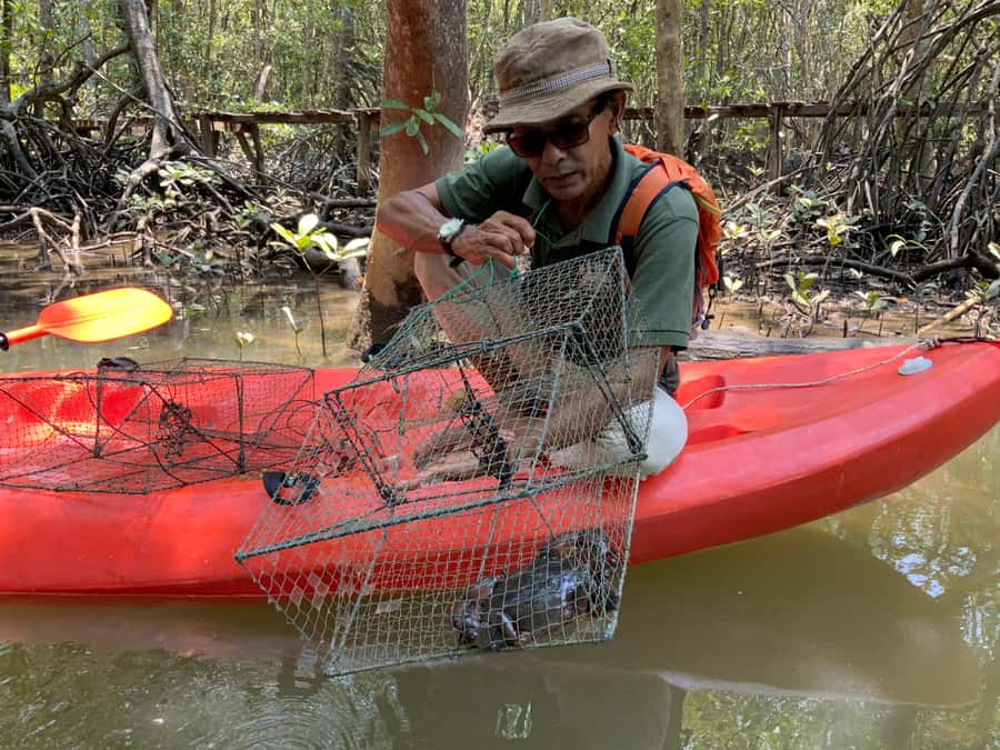 Koh Yao Yai: Klong Hia Mangrove Kayaking - Paddling the Klong Hia canal for 1.5 hours