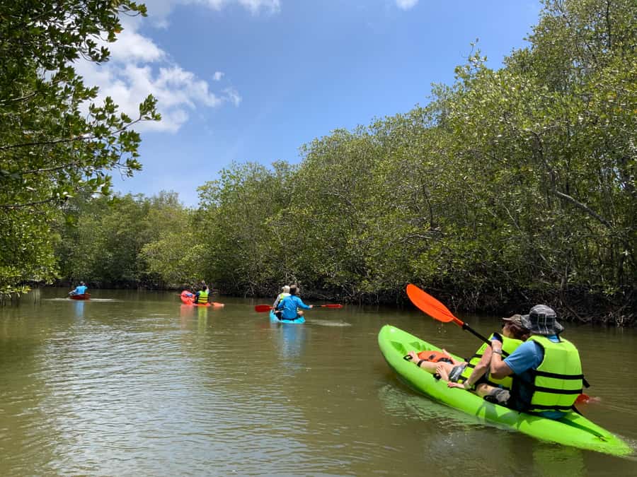 Koh Yao Yai: Klong Hia Mangrove Kayaking - Learning from Sai and the local fishers