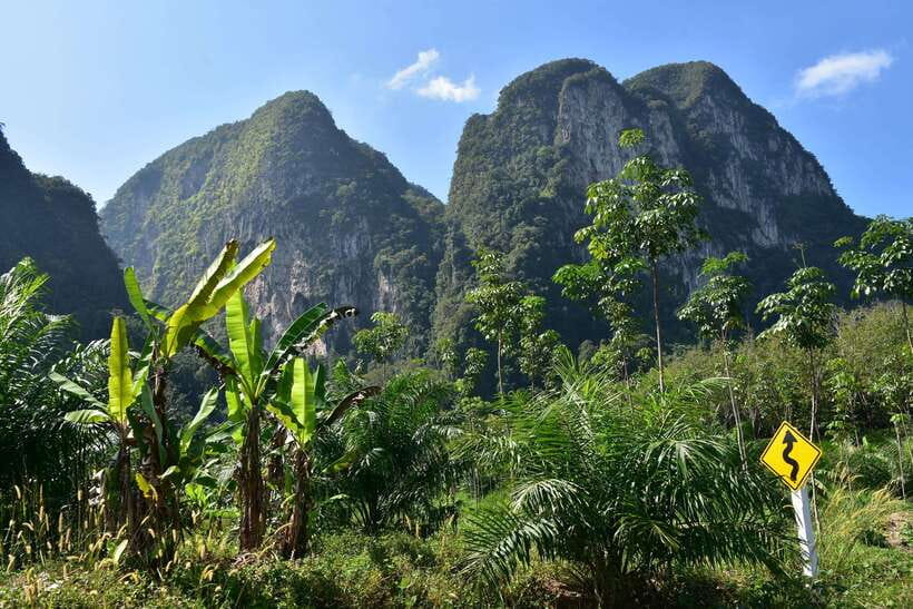 Krabi: A Kayaking Odyssey through Din Daeng Mangrove Maze - Monkey Beach: a flexible half-hour stop