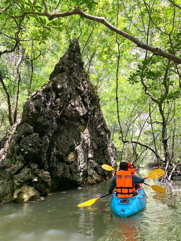 Krabi: A Kayaking Odyssey through Din Daeng Mangrove Maze - The mangrove forest, where the trip earns its name
