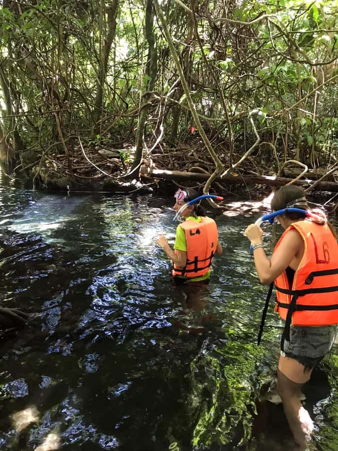 Krabi: Amazon Klong Srakaew Kayaking With Lunch - Key things to know about Amazon Klong Srakaew