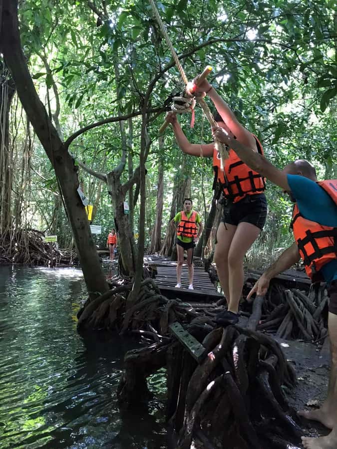 Krabi: Amazon Klong Srakaew Kayaking With Lunch - Practical advice before you book