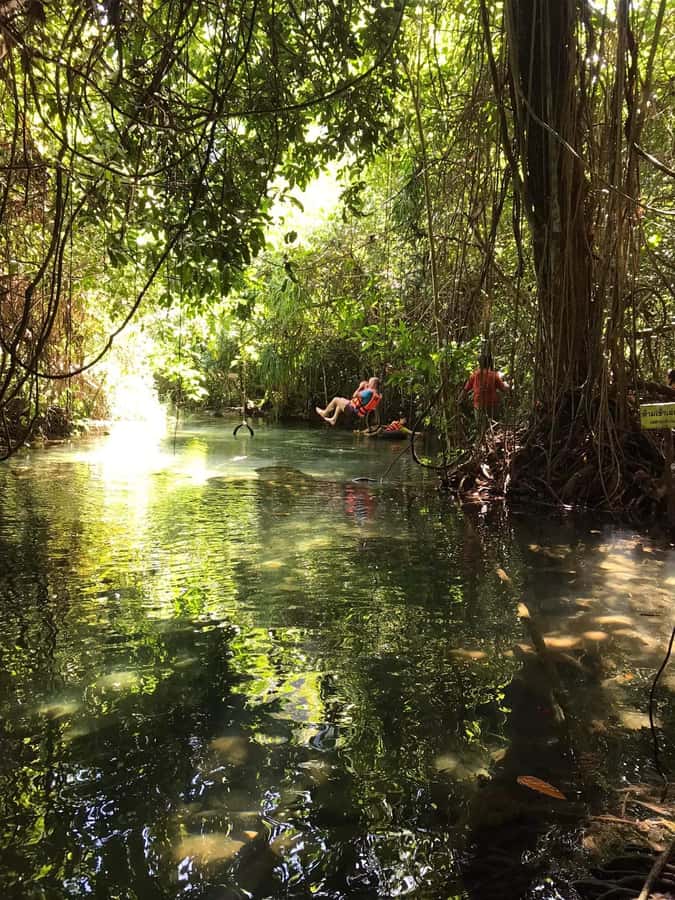 Krabi: Amazon Klong Srakaew Kayaking With Lunch - Lunch beside a quiet natural setting