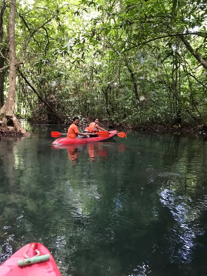 Krabi: Amazon Klong Srakaew Kayaking With Lunch - A look at the environmental promise