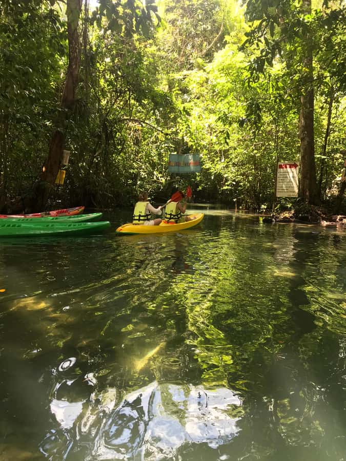 Krabi: Amazon Klong Srakaew Kayaking With Lunch - What the three-hour outing includes