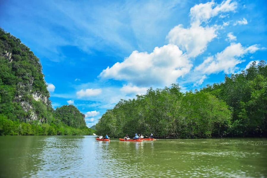 Krabi: Ao Thalane Mangrove Kayaking with Extras - Key points to know before you book