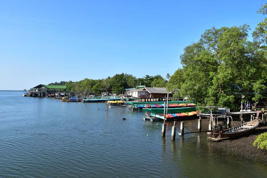 Krabi: ATV Jungle Bash & Kayak Odyssey in Din Daeng Mangrove - Who should book this outing